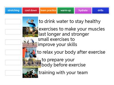 Sports Vocabulary Practice A2
