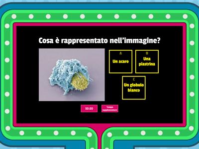 Quiz scientifico 