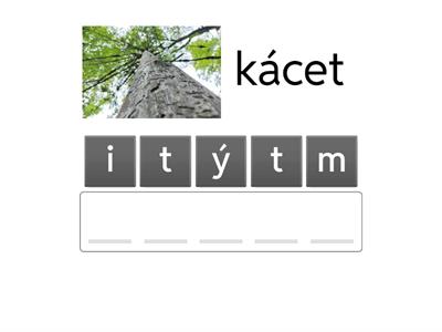 ČJ 3 Vyjmenovaná slova po M - přesmyčky