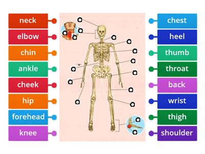 Gateway B1 - Unit 3, vocabulary