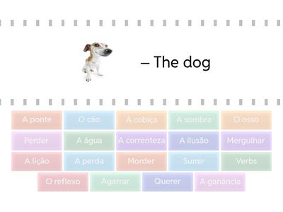 Lesson 100 - Vocabulary