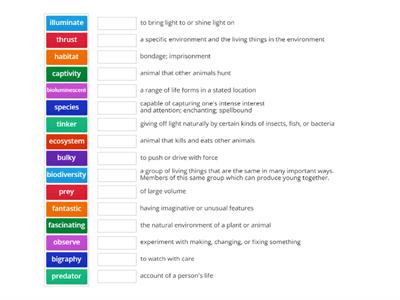 Wit and Wisdom Grade 3 Module 1 Vocabulary