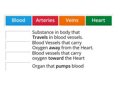 Circulatory System