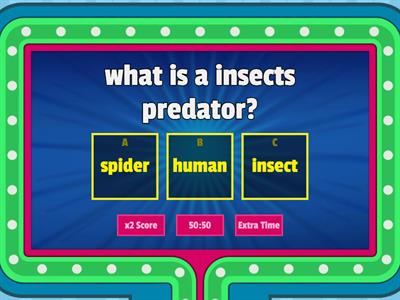 bug quiz final update!