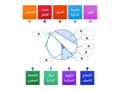 اجزاء الدائرة 