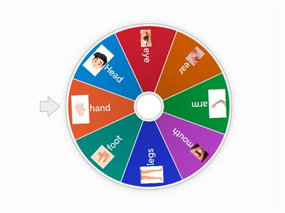 Partes del cuerpo en ingles 