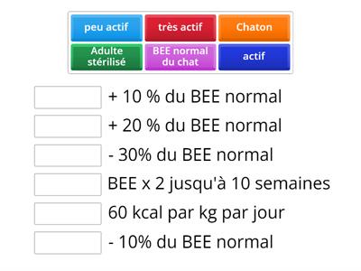 Chat alimentation 3