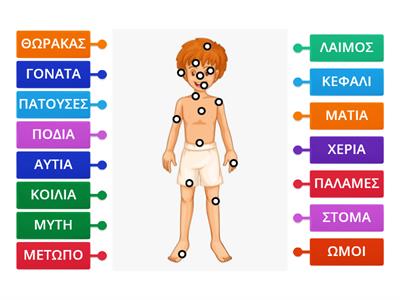 ΤΑ ΜΕΡΗ ΤΟΥ ΣΩΜΑΤΟΣ