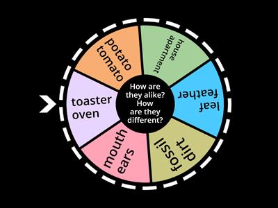 Compare and Contrast