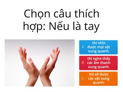 Bài 15: Các giác quan. Sách cánh diều lớp 1