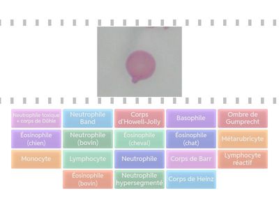 Anomalie GR + GB (pt 2)