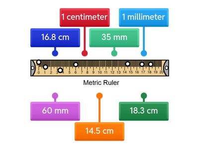 Label a Metric Ruler
