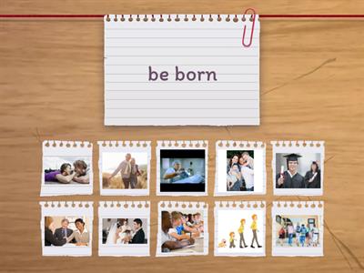 Life stages Go getter 4