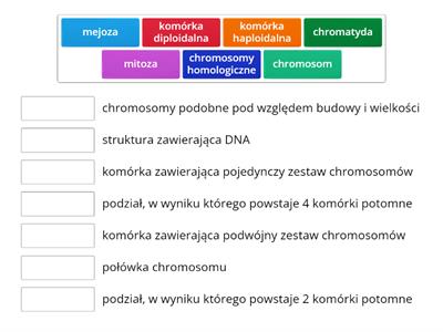 podziały komórkowe