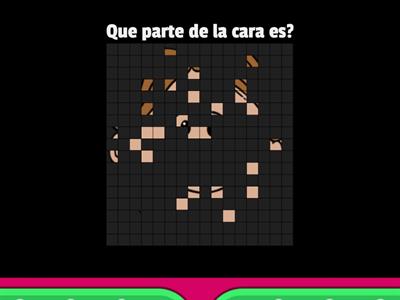 Las partes de la cara image quiz