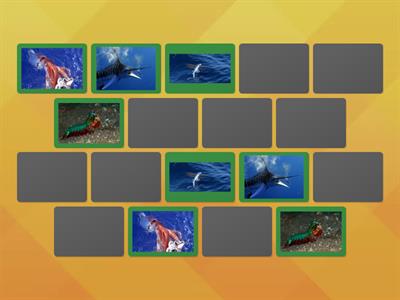 Жителі моря