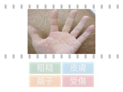 25-26(上)手上的皮膚_圖字配對