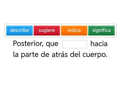 conceptos de anatomia