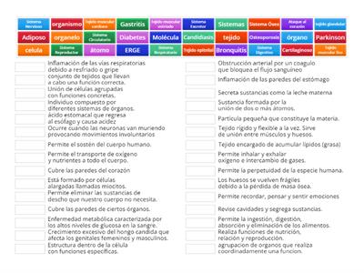 Formativa Trimestral 7°