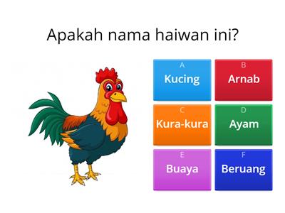 Nama haiwan jinak 