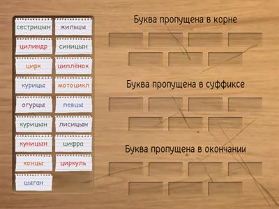 Правописание и-ы после ц