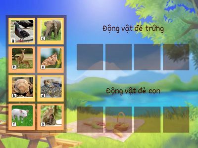 Xếp các loài động vật vào nhóm thích hợp