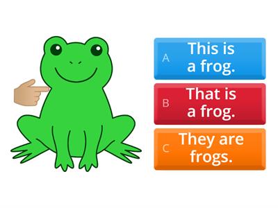 What's this? What's that? What are they?