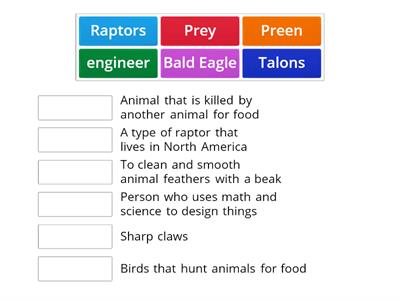 Beauty's New Beak Vocab