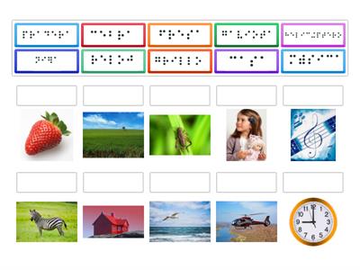 Relación palabra - imagen --BRAILLE--