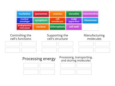 Organelle Purposes