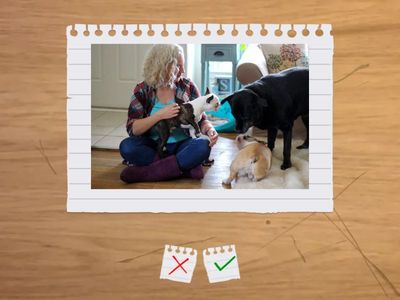 VOC 1 : teen jobs --- flashcards