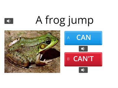 CAN AND CANT- ANIMALS