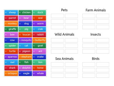 Animals – Group by Categories – Intermediary