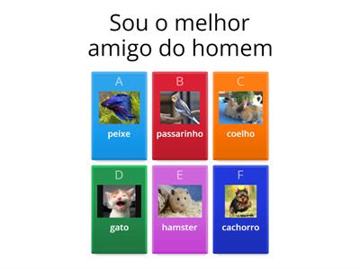 Quem sou eu?