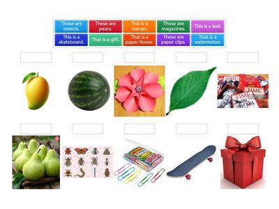 This, These, That, Those