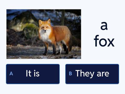 It is/They are, to be