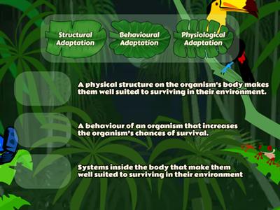 Types of Adaptation Definitions