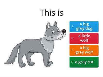 Choose the correct answer