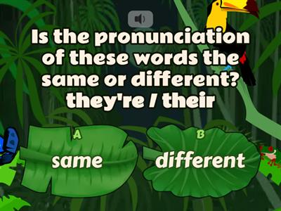 The same or different sounds (Possessives)