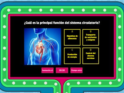 Circulaciòn Mayor y Menor