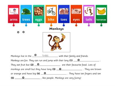 Starters Reading Part 4 A