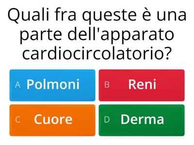 Apparato cardiocircolatorio