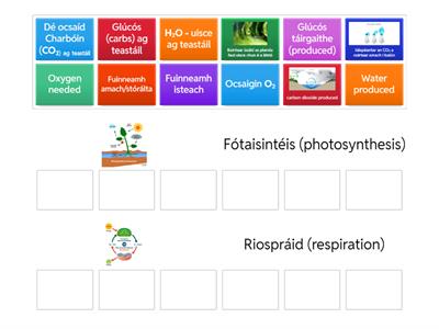 Fótaisintéis & Riospráid