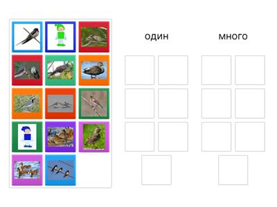 Игра "Один - много"