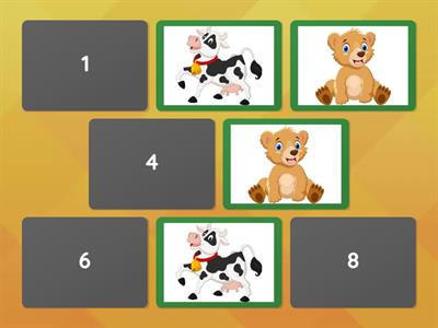 Memory orso cercabbracci