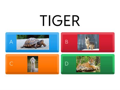 Wie heissen die Tiere? QUIZ!