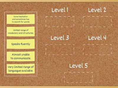 Fluency levels