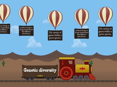 Ecosystem Stability Vocabulary