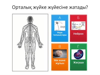 Жұмақ аралындағы секс