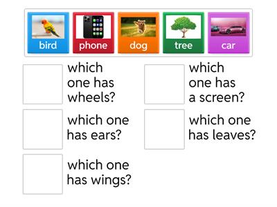 Intraverbal Features